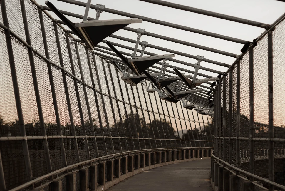 Discovering Chandler, AZ: An Introduction to the City's Vibrant Culture and Year-Round Sunshine